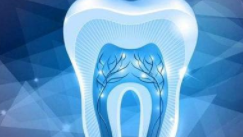 消费者重视口腔健康,电动牙刷成为日用品