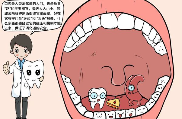 健康辟谣：“六龄牙”是乳牙？ 